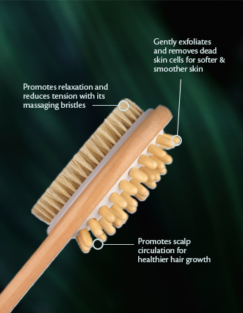 Dry Brushing Body Brush